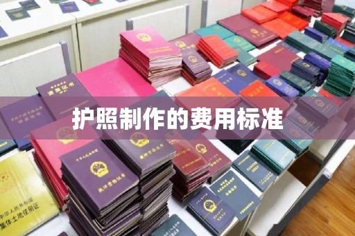 依安护照制作的费用标准