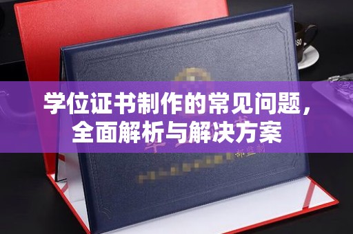湖滨学位证书制作的常见问题，全面解析与解决方案
